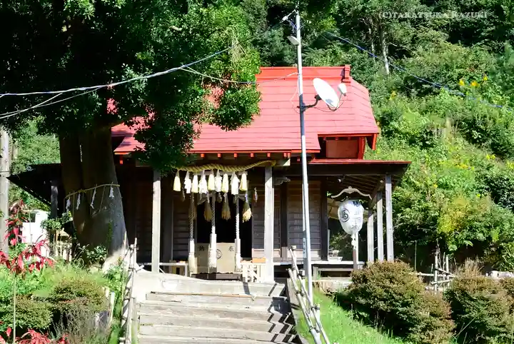 思金神社の本殿・本堂