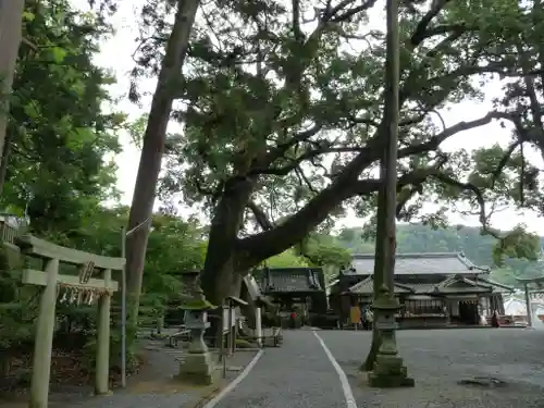 事任八幡宮のその他建物