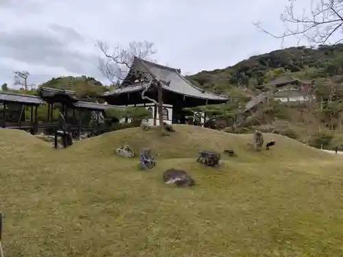 高台寺（高台寿聖禅寺・高臺寺）(京都府)