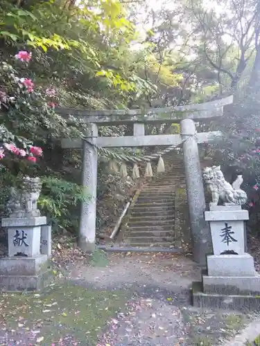 白山多賀神社の鳥居