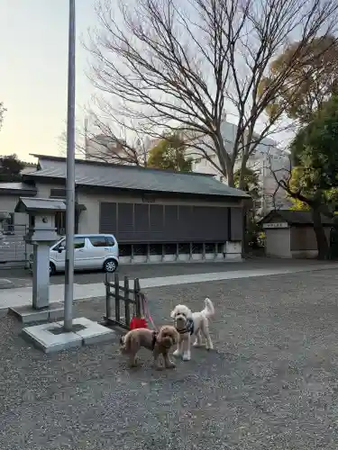 日吉神社の{uncategorized: "未分類", other: "その他", undefined: "問題あり", building: "その他建物", grave: "お墓", sacred_gate: "鳥居", guardian: "狛犬", statue: "像", buddha: "仏像", history: "歴史", nature: "自然", garden: "庭園", animal: "動物", pagoda: "塔", temizu: "手水舎", mountain_gate: "山門・神門", sanctuary: "本殿・本堂", subordinate: "末社・摂社", art: "芸術", scenery: "景色", jizo: "地蔵", ema: "絵馬", goshuin: "御朱印", omikuji: "おみくじ", items: "授与品その他", amulet: "お守り", goshuincho: "御朱印帳", eats: "食事", festival: "お祭り", votive_dance: "神楽", shichigosan: "七五三参", wedding: "結婚式", experience: "体験その他", initially: "初詣", around: "周辺", anti_infection: "感染症対策"}