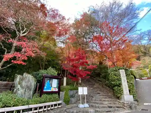 華厳寺（鈴虫寺）(京都府)