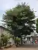 三ツ石神社(岩手県)