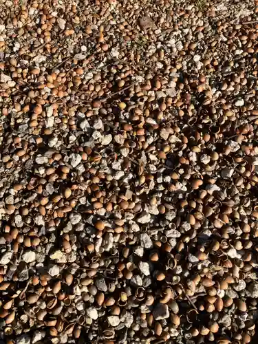 村國真墨田神社(岐阜県)