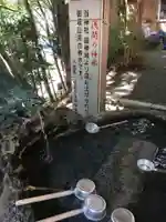 新倉富士浅間神社の手水舎