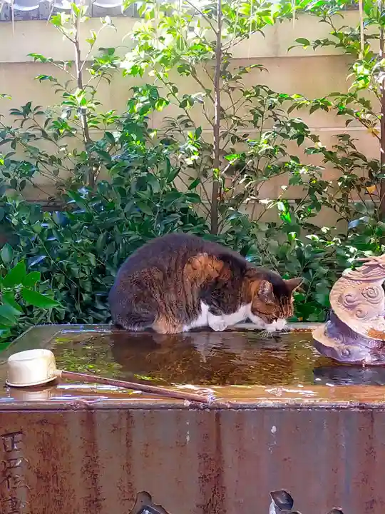 小野照崎神社(東京都)