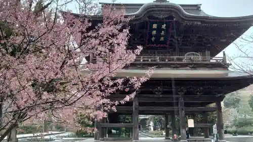 建長寺の山門・神門