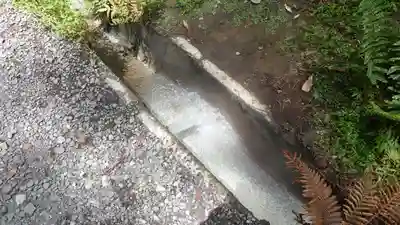 霧島神宮(鹿児島県)