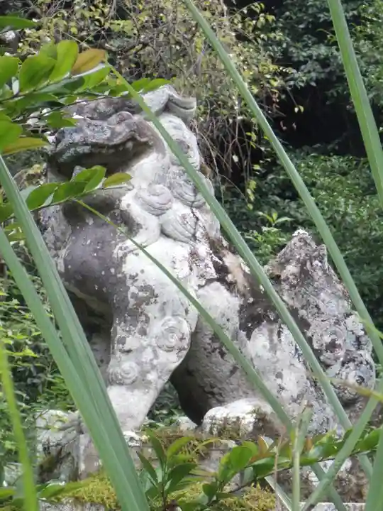 大豊神社の狛犬