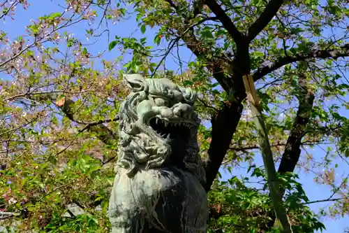 生國魂神社の狛犬