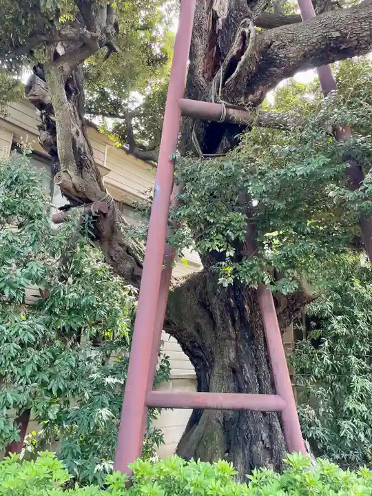 延命院(東京都)