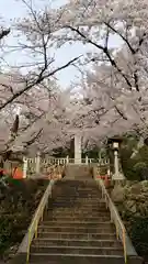 建勲神社の自然