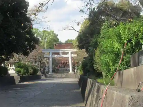 富士山本宮浅間大社(静岡県)