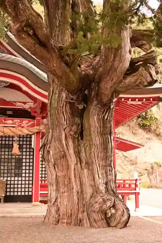 八幡神社(愛媛県)