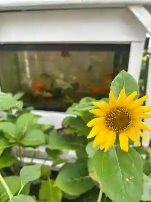 別小江神社(愛知県)