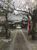 光清寺の山門・神門