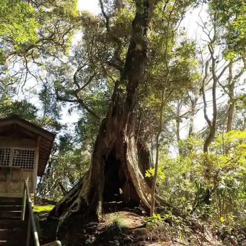 八幡神社の自然