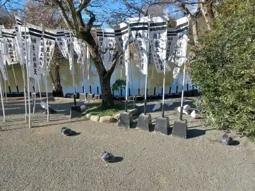 鶴岡八幡宮の{uncategorized: "未分類", other: "その他", undefined: "問題あり", building: "その他建物", grave: "お墓", sacred_gate: "鳥居", guardian: "狛犬", statue: "像", buddha: "仏像", history: "歴史", nature: "自然", garden: "庭園", animal: "動物", pagoda: "塔", temizu: "手水舎", mountain_gate: "山門・神門", sanctuary: "本殿・本堂", subordinate: "末社・摂社", art: "芸術", scenery: "景色", jizo: "地蔵", ema: "絵馬", goshuin: "御朱印", omikuji: "おみくじ", items: "授与品その他", amulet: "お守り", goshuincho: "御朱印帳", eats: "食事", festival: "お祭り", votive_dance: "神楽", shichigosan: "七五三参", wedding: "結婚式", experience: "体験その他", initially: "初詣", around: "周辺", anti_infection: "感染症対策"}