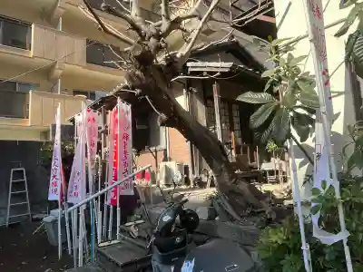 千光寺(愛知県)