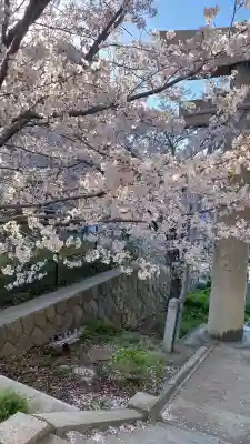 飛幡八幡宮の{uncategorized: "未分類", other: "その他", undefined: "問題あり", building: "その他建物", grave: "お墓", sacred_gate: "鳥居", guardian: "狛犬", statue: "像", buddha: "仏像", history: "歴史", nature: "自然", garden: "庭園", animal: "動物", pagoda: "塔", temizu: "手水舎", mountain_gate: "山門・神門", sanctuary: "本殿・本堂", subordinate: "末社・摂社", art: "芸術", scenery: "景色", jizo: "地蔵", ema: "絵馬", goshuin: "御朱印", omikuji: "おみくじ", items: "授与品その他", amulet: "お守り", goshuincho: "御朱印帳", eats: "食事", festival: "お祭り", votive_dance: "神楽", shichigosan: "七五三参", wedding: "結婚式", experience: "体験その他", initially: "初詣", around: "周辺", anti_infection: "感染症対策"}