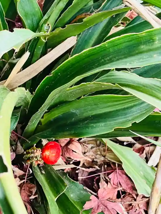 貴船神社(茨城県)