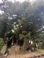 揖夜神社(島根県)