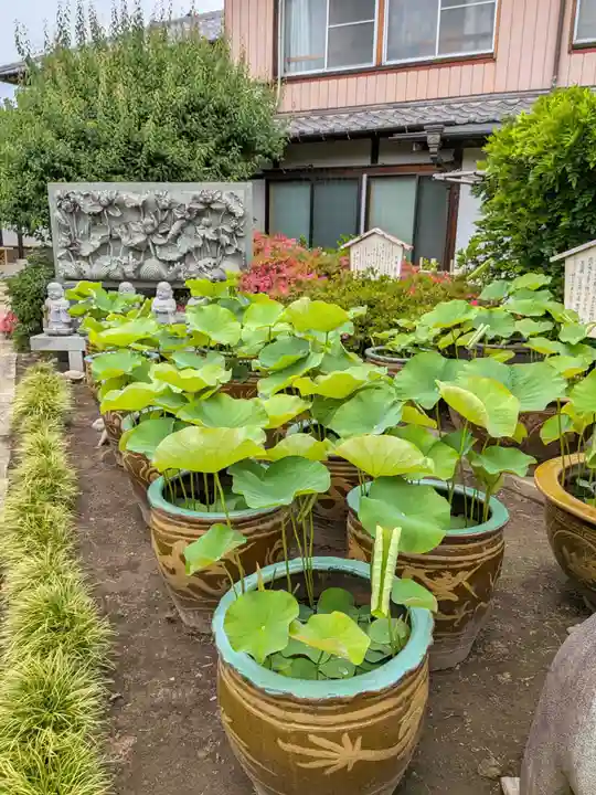 長善寺(東京都)