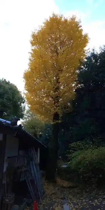 松尾大社(京都府)