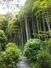 長壽寺（長寿寺）の景色