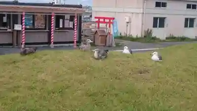 蕪嶋神社のその他建物