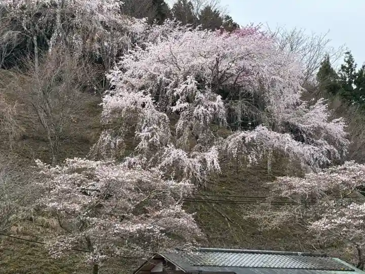 𠮷水神社(吉水神社)(奈良県)