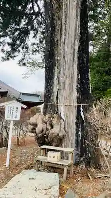中禅寺(栃木県)