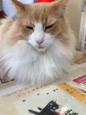 駒込妙義神社の御朱印