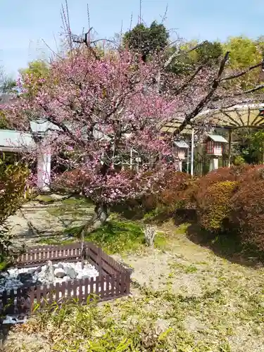 霊山観音(京都府)