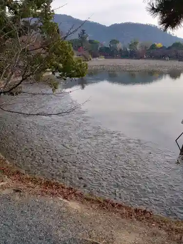 大覚寺の景色