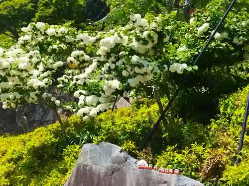 勝尾寺(大阪府)