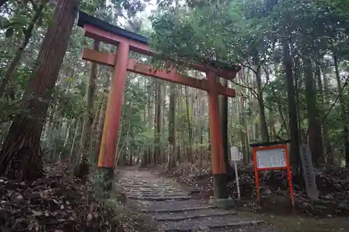 御蔭神社の鳥居