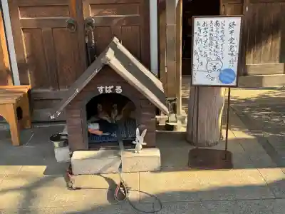 感通寺の{uncategorized: "未分類", other: "その他", undefined: "問題あり", building: "その他建物", grave: "お墓", sacred_gate: "鳥居", guardian: "狛犬", statue: "像", buddha: "仏像", history: "歴史", nature: "自然", garden: "庭園", animal: "動物", pagoda: "塔", temizu: "手水舎", mountain_gate: "山門・神門", sanctuary: "本殿・本堂", subordinate: "末社・摂社", art: "芸術", scenery: "景色", jizo: "地蔵", ema: "絵馬", goshuin: "御朱印", omikuji: "おみくじ", items: "授与品その他", amulet: "お守り", goshuincho: "御朱印帳", eats: "食事", festival: "お祭り", votive_dance: "神楽", shichigosan: "七五三参", wedding: "結婚式", experience: "体験その他", initially: "初詣", around: "周辺", anti_infection: "感染症対策"}