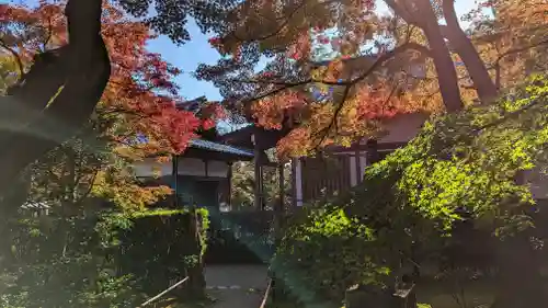 常寂光寺の建物その他