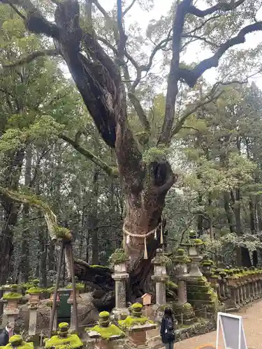 春日大社(奈良県)