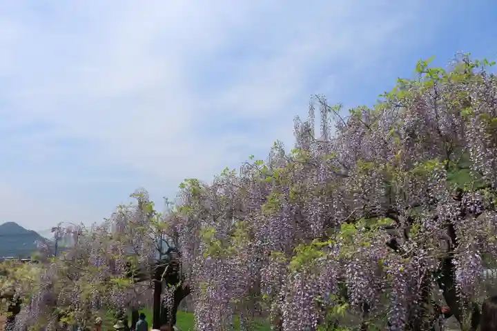 和氣神社(和気神社)(岡山県)