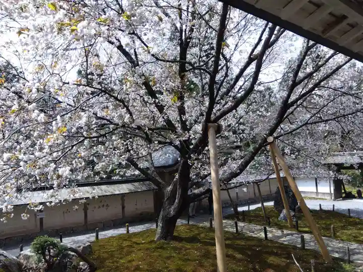 常照皇寺(京都府)
