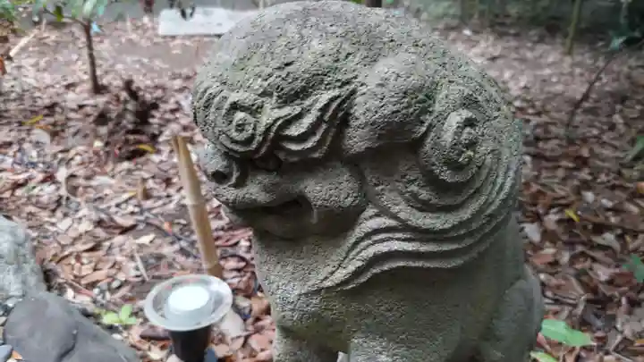 菊田神社の狛犬