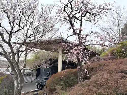 真龍寺(大阪府)