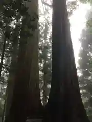 三峯神社の自然