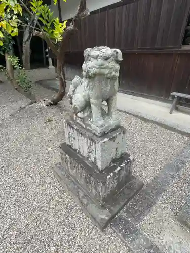 菅田神社の狛犬