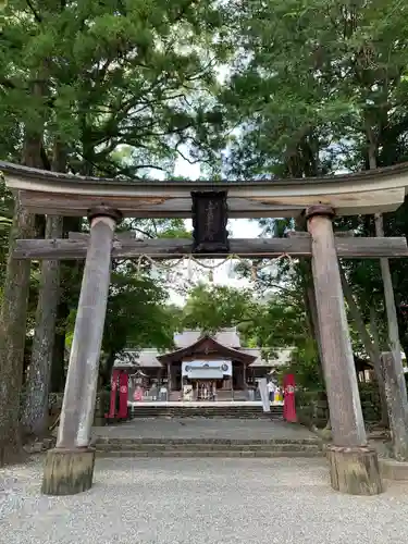 土佐神社(高知県)