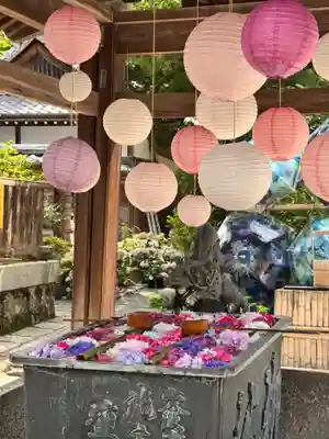 柳谷観音　楊谷寺(京都府)