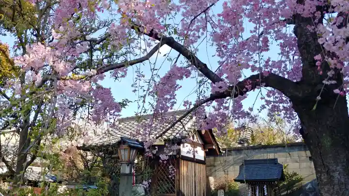 安樂寺天満宮の自然