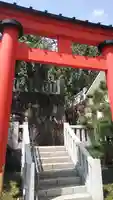 穴八幡宮の鳥居